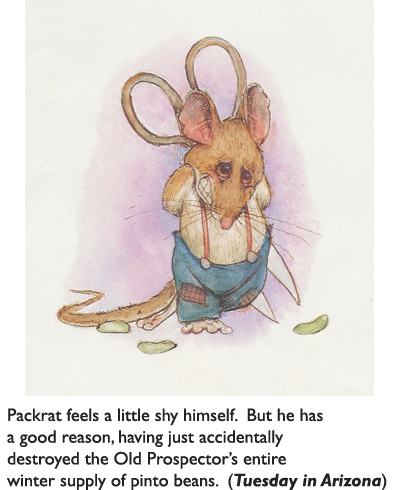 ‘Shy Packrat’  Original art from children’s book Tuesday In Arizona – in which the aforesaid packrat manages to ruin the Old Prospector’s life every day of the week—except Tuesday.